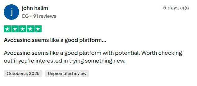John’s short positive review Avocasino
